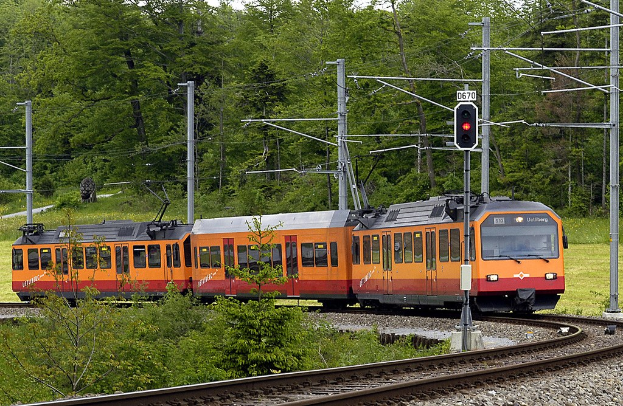 Ein Zug fährt auf Schienen mit elektrischen Masten und Kabeln darüber, umgeben von Bäumen, Blumen, Pflanzen und Gras.