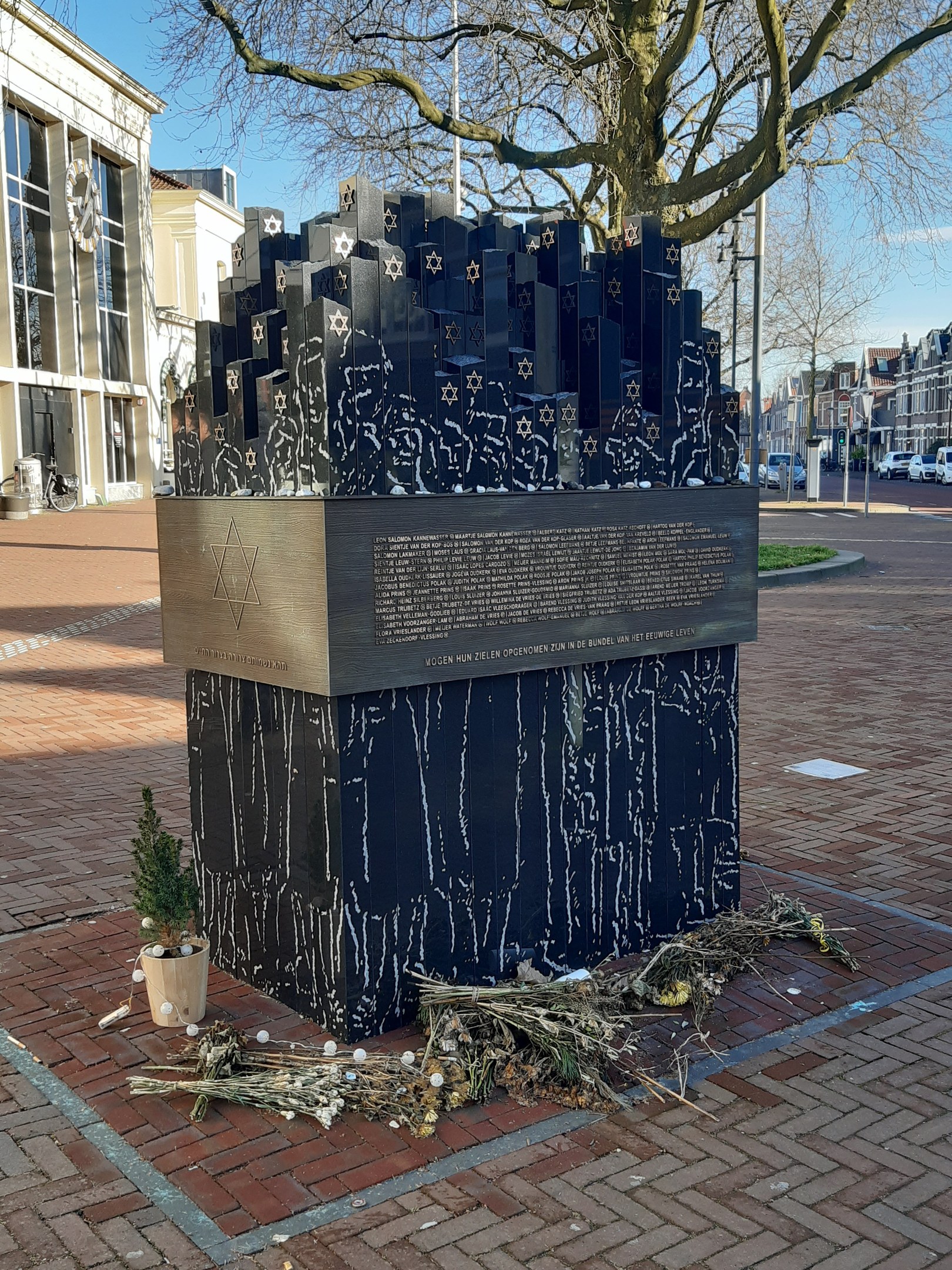 Denkmal in einem Stadtplatz, das Holocaust-Opfern gewidmet ist, mit einem Baum davor, einer Topfpflanze, verstreuten trockenen Blättern und im Hintergrund Gebäude, Fahrzeuge, Masten und Bäume.