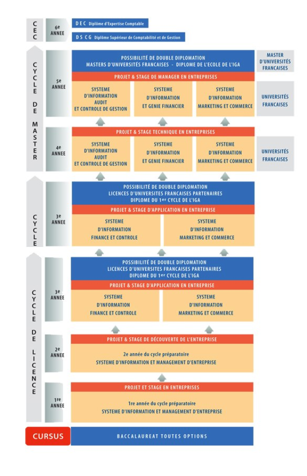 Diagramm, das die Organisationsstruktur eines Unternehmens mit interconnected boxes darstellt, die verschiedene Stufen des Geschäfts growths und der Entwicklung darstellen, begleitet von Text, der die Rollen und Verantwortlichkeiten beschreibt.