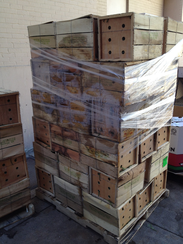 HPE stellt Hilfestellung zur Umsetzung von PPWR für Holzverpackungsunternehmen vor