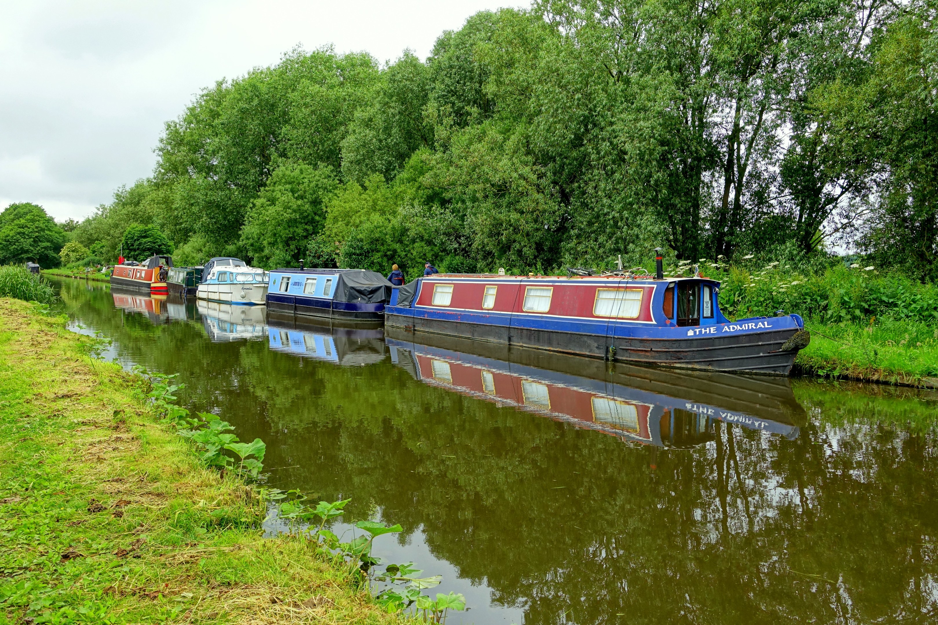 Eine Gruppe von Booten treibt auf einem von grünem Gras und Pflanzen gesäumten Fluss, mit hohen Bäumen und einem klaren blauen Himmel im Hintergrund.