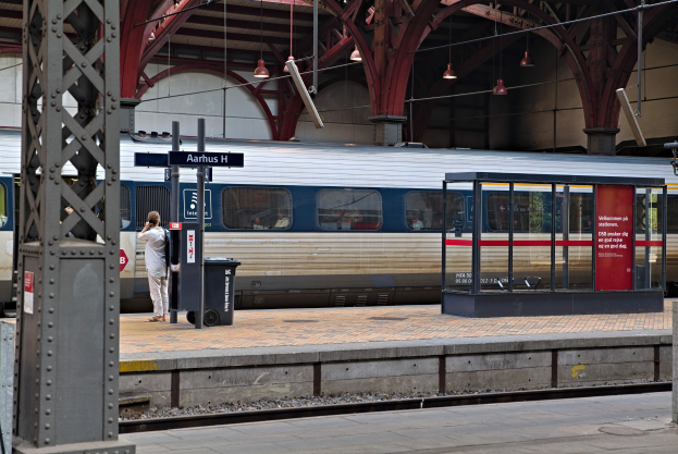 Ein Zug fährt auf einem Bahnsteig ein mit einer Person in der Nähe, einem Müllleimer, Stützen, Informationsschildern und Deckenleuchten.