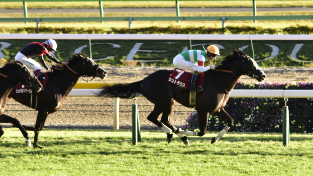 Zwei Jockeys in Helmen lenken Pferde auf einer Strecke mit Grünfläche, Geländer und einer Tafel im Hintergrund.
