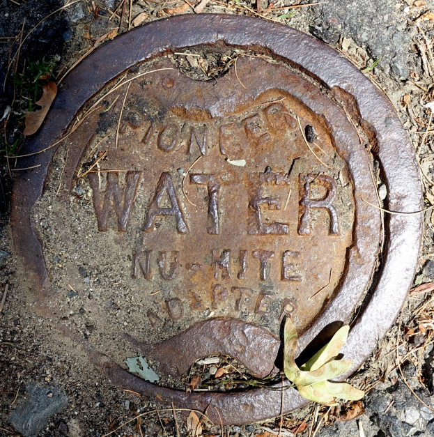 Abdeckung für einen Gully mit dem Wort "Wasser" darauf, umgeben von trockenen Blättern und Gras auf dem Boden.