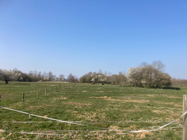Eine grüne Wiese mit einem Zaun, der sie teilt, umgeben von Bäumen unter einem klaren blauen Himmel, mit einem Schild, das mehrere zum Verkauf stehende Grundstücke anzeigt.