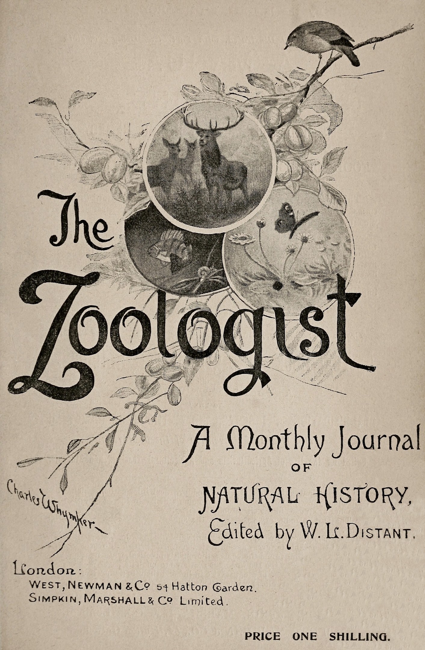 Buchumschlag mit dem Titel "The Zoologist: A Monthly Journal of Natural History", der ein realistisch illustriertes Bild eines Vogels zeigt, der auf einem Hügel sitzt und von Tieren wie einem Hirsch, einem Kaninchen und einem Fuchs umgeben ist, mit fetter schwarzer Schrift oben.