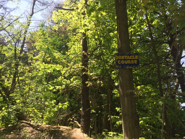 Ein Schotterweg in einem bewaldeten Gebiet, der von einem Schild mit der Aufschrift "Hindernisparcours" markiert ist, mit Bäumen auf beiden Seiten und einem sichtbaren Himmel im Hintergrund.