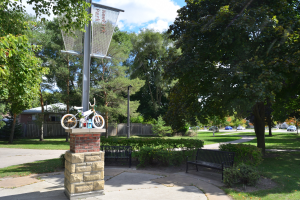 Ein Park mit einer Bank, einem Basketballkorb und einem Fahrrad an einem Pfahl, umgeben von Bäumen, Pflanzen, Gras und Häusern, mit Fahrzeugen auf einer Straße im Hintergrund und einem bewölkten Himmel.