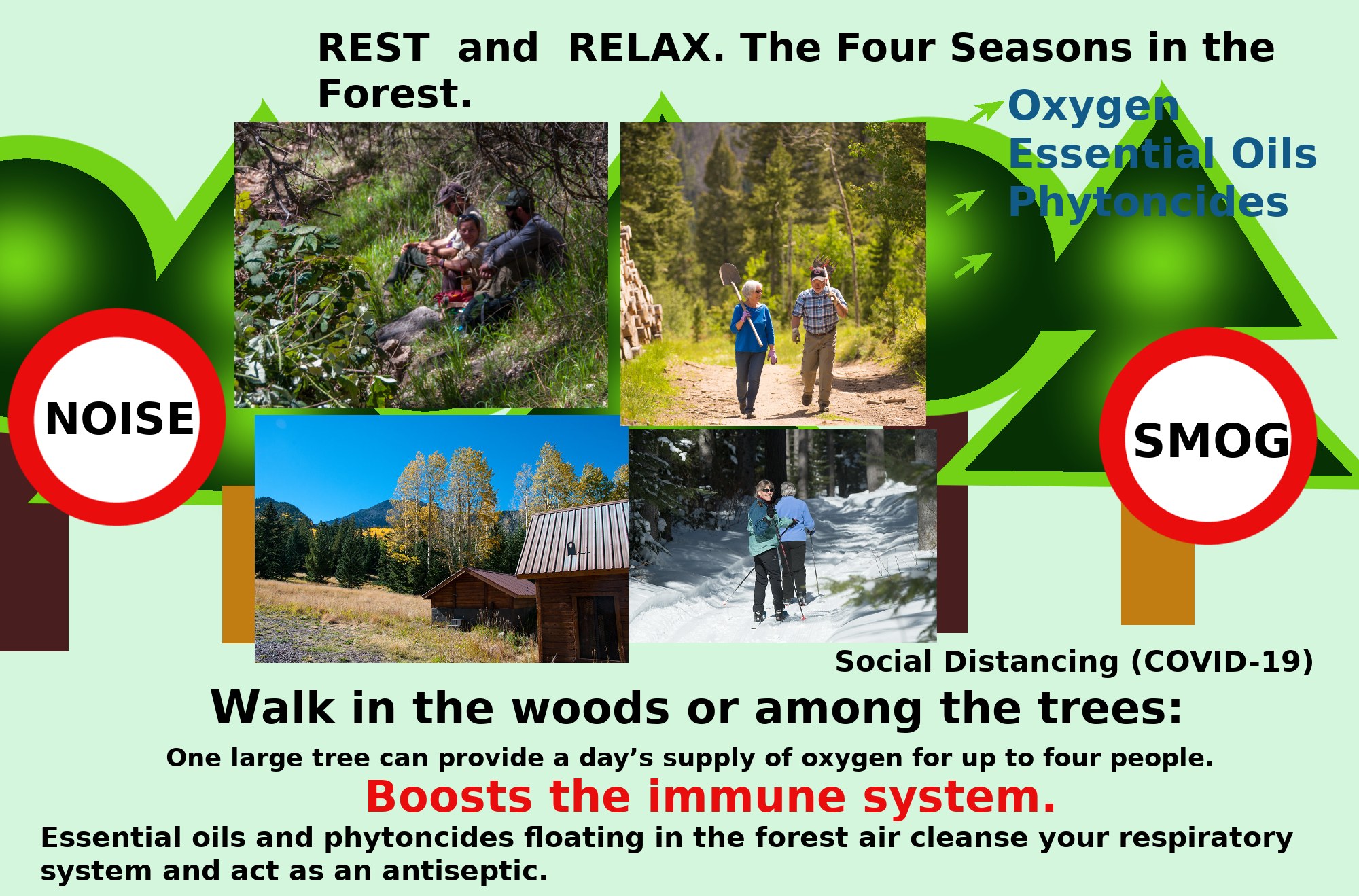 Plakat mit der Aufschrift "Ruhe und Entspannung die vier Jahreszeiten im Wald" mit Bildern von Menschen, die durch einen bewaldeten Bereich mit Bäumen und einem Haus gehen, um Entspannung in der Natur zu fördern.