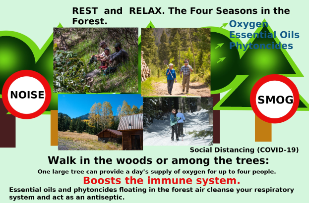 Plakat mit der Aufschrift "Ruhe und Entspannung die vier Jahreszeiten im Wald" mit Bildern von Menschen, die durch einen bewaldeten Bereich mit Bäumen und einem Haus gehen, um Entspannung in der Natur zu fördern.