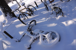 Eine Reihe von Fahrrädern, teilweise von Schnee bedeckt, neben einem Baumstamm und einer Straße.