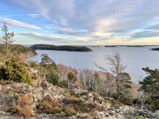 Ein malerischer Ausblick von einem Hügel auf einen See, mit Bäumen, Pflanzen und Felsen im Vordergrund und einer bewölkten Himmelslandschaft im Hintergrund.