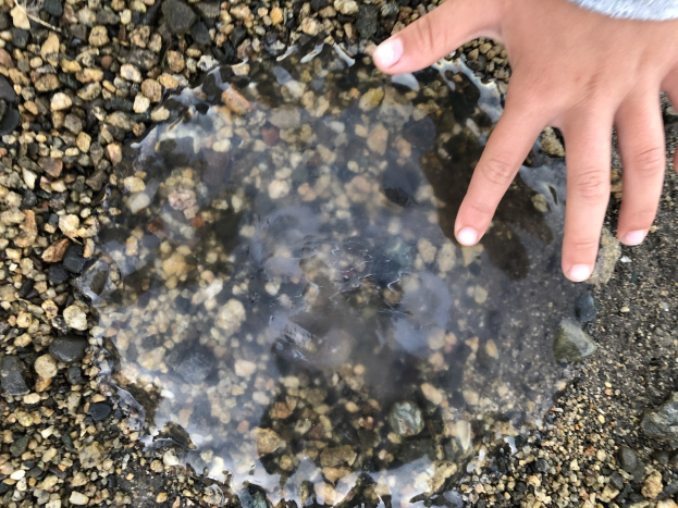 Eine Kinderhand, die aus einer Wasserlache auf dem Boden herausragt, umgeben von Steinen.