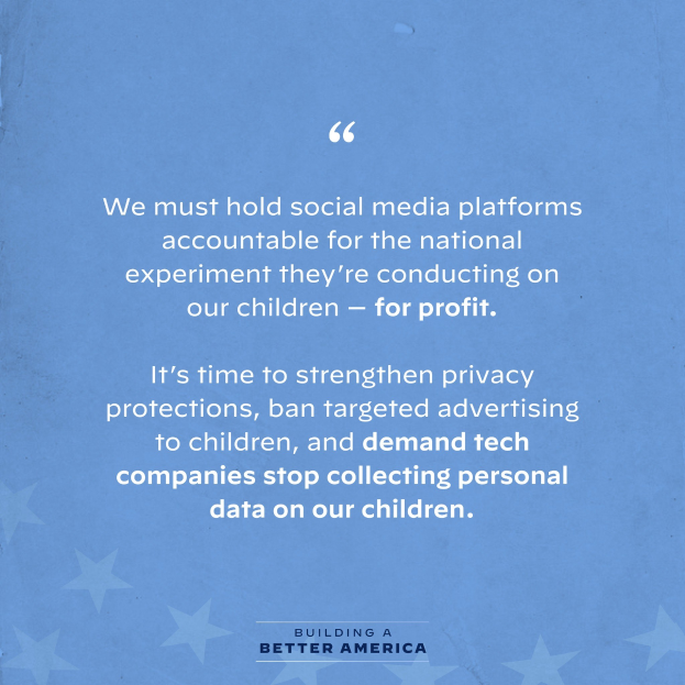 Plakat mit einem Zitat aus Building a Better America, das besagt: "Wir müssen die sozialen Medien-Plattformen für das nationale Experiment zur Rechenschaft ziehen, das sie an unseren Kindern durchführen - zum Profit.", geschmückt mit Sternen.